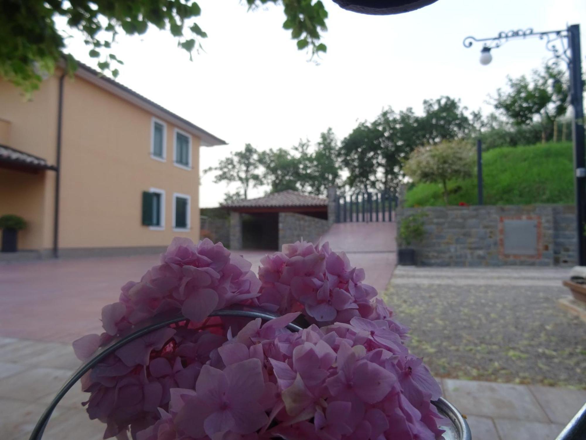 Val&Sol Apartments Sečovlje Extérieur photo